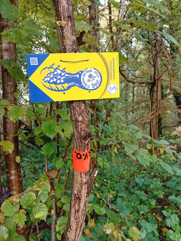 Marche de la campagne douroise