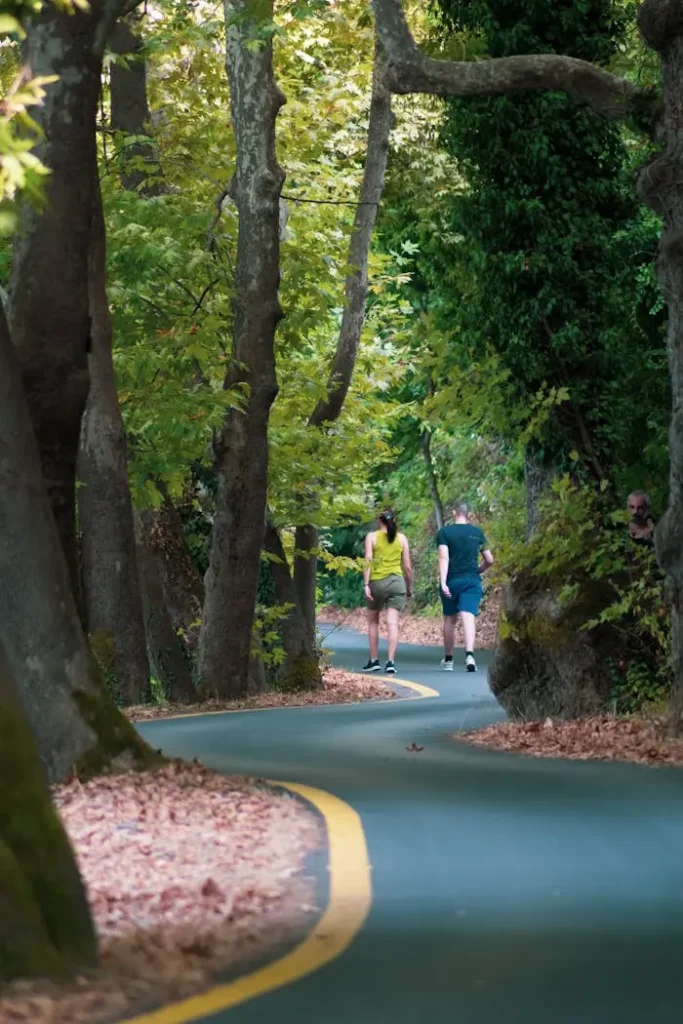 Two joggers enjoying a scenic forest pathway lined with trees during early fall.