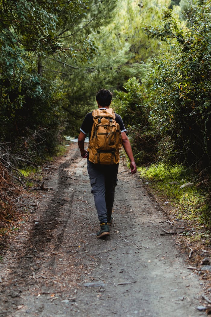 Back view of a man hiking on a forest path surrounded by lush greenery.
